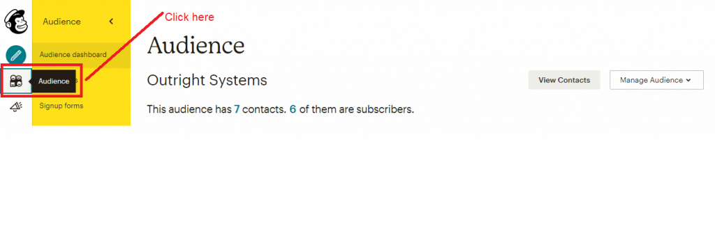 MailChimp Audience