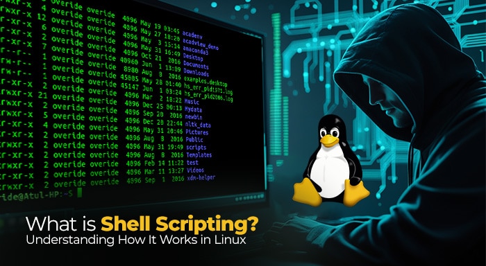 Shell Scripting